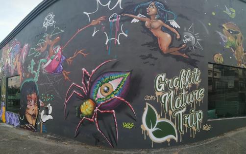 Graffiti 1ª Edição 1